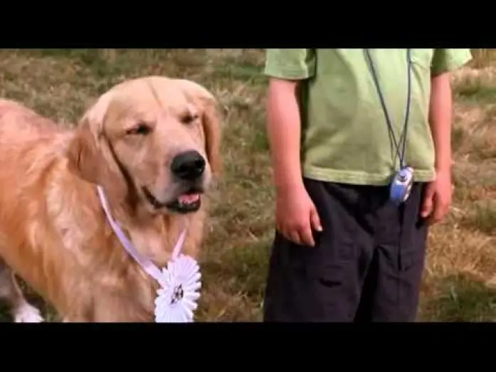 Watch film Air Buddies — Air Bud - bande annonce