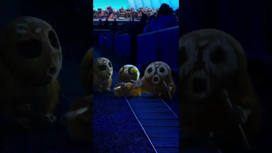 Watch film Moana — there’s always someone