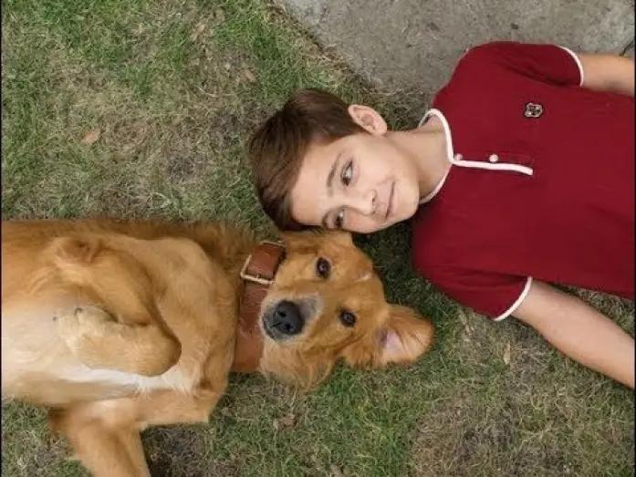 Watch film A Dog's Purpose | Tu mejor amigo - Trailer final espa&ntilde;ol (HD)