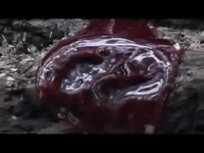 Watch film Severed — Severed - Forest of the Dead 2005 Trailer