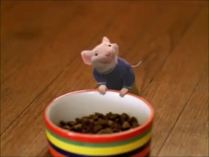 Watch film Stuart Little — STUART LITTLE - UN TOPOLINO IN GAMBA - Trailer Italiano