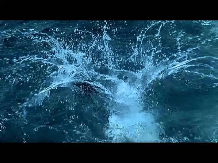 Watch film Deep Blue | Deep-Blue - Trailer (Deutsch)