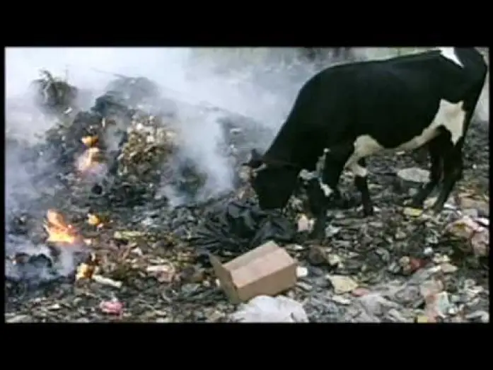 Watch film The Corporation — THE CORPORATION trailer