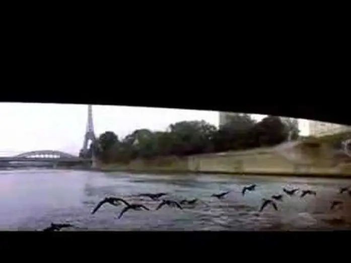 Watch film Winged Migration — Winged Migration trailer