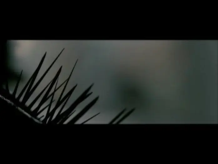 Watch film Splinter — Splinter Trailer