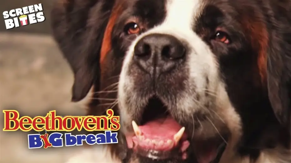 Watch film Beethoven's Big Break — Car Chase