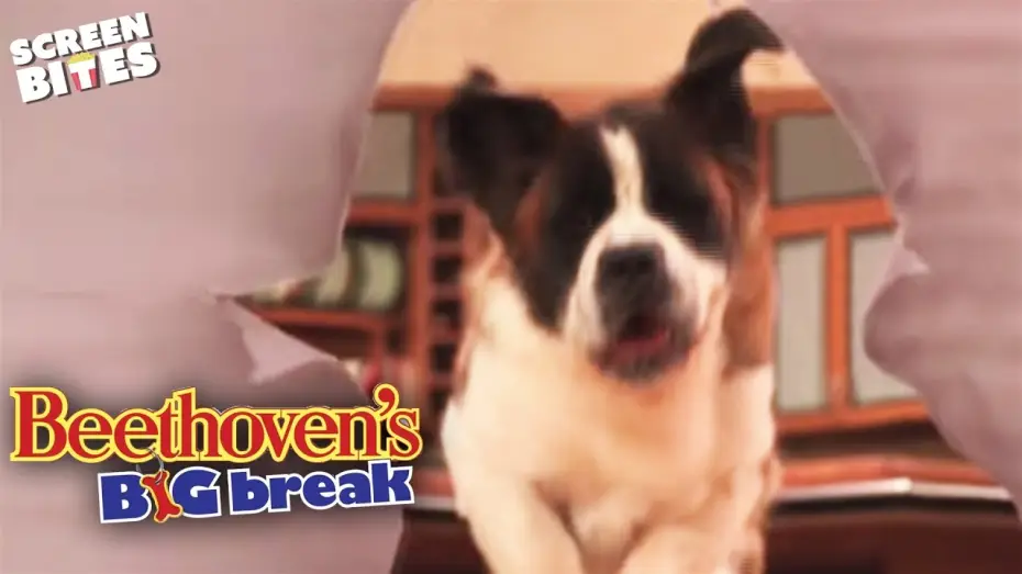 Watch film Beethoven's Big Break — Audition scene