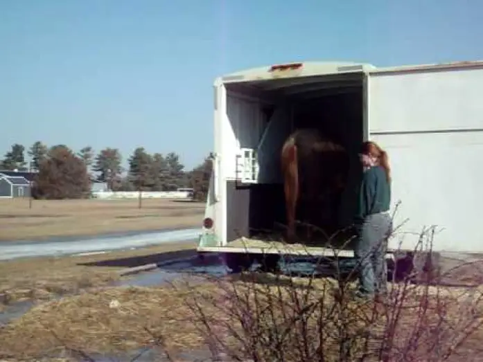 Watch film Flicka — Flicka trailer video
