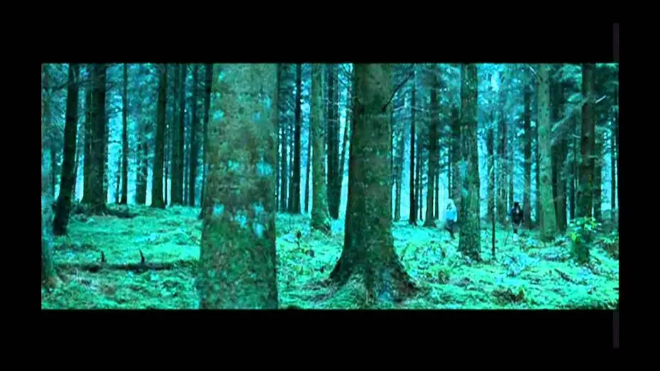 Watch film Shrooms — Shrooms - trip senza ritorno trailer ita