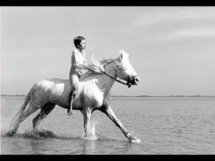 Watch film White Mane — ¨Crin-Blanc¨ - Albert Lamorisse