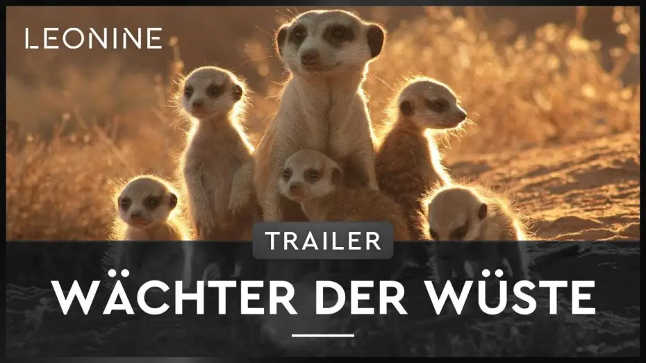 Watch film The Meerkats — Wächter der Wüste - Trailer (deutsch/german)