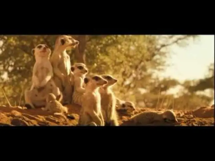 Watch film The Meerkats — LA FAMILLE SURICATE - Bande Annonce VF