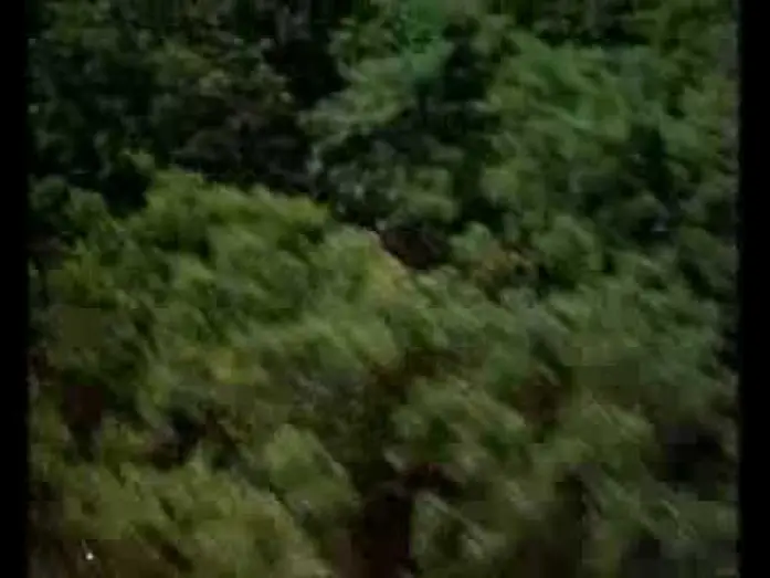 Watch film Sunshine — Sunshine (1999) Trailer - Ralph Fiennes