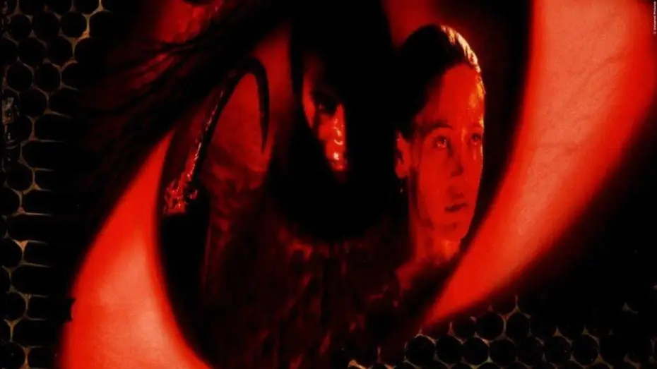 Watch film Candyman: Farewell to the Flesh — Candyman 2 - Die Blutrache Trailer Englisch English (1996)