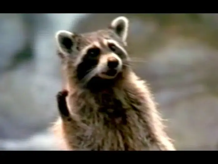 Watch film Dr. Dolittle 2 — Dr. Dolittle 2 - Trailer (2001)