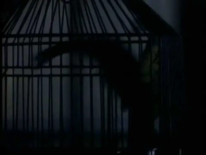 Watch film Boxing Helena | Boxing Helena