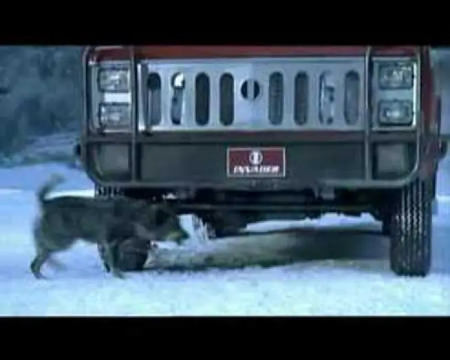 Watch film The Darwin Awards — The Darwin Awards Trailer