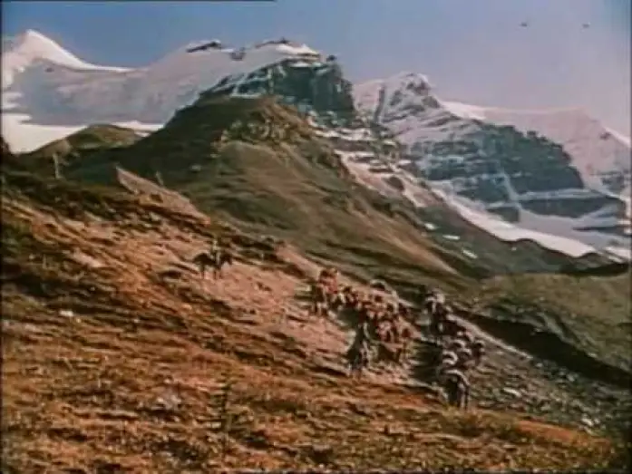 Watch film The Far Country — The Far Country (1954) Trailer