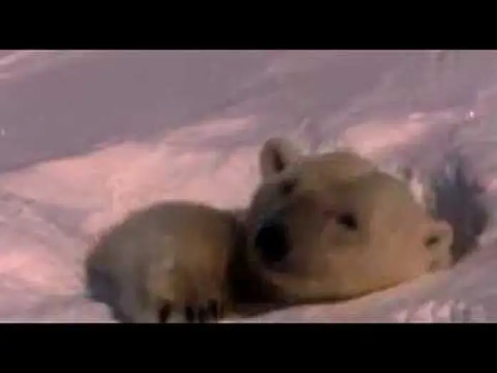 Watch film Earth — Unsere Erde - Der Film  Trailer High Qualität High Sound