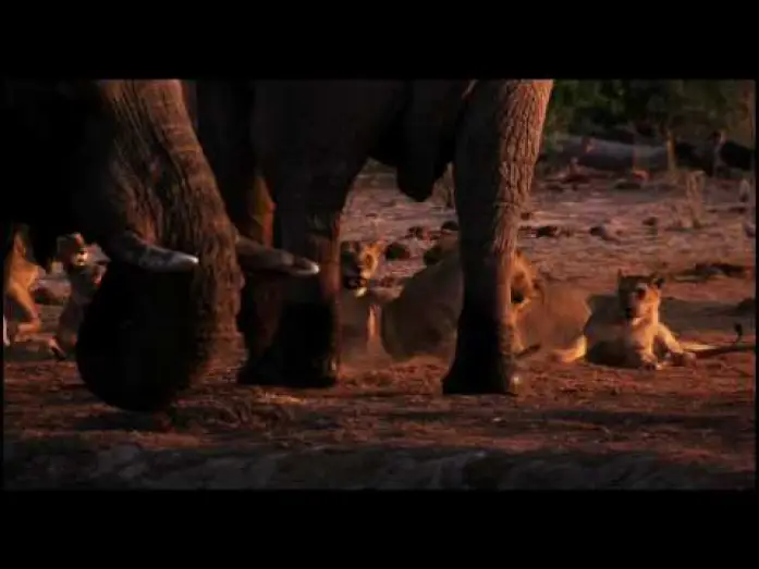 Watch film Earth — Earth Trailer by Disney Nature (HD)