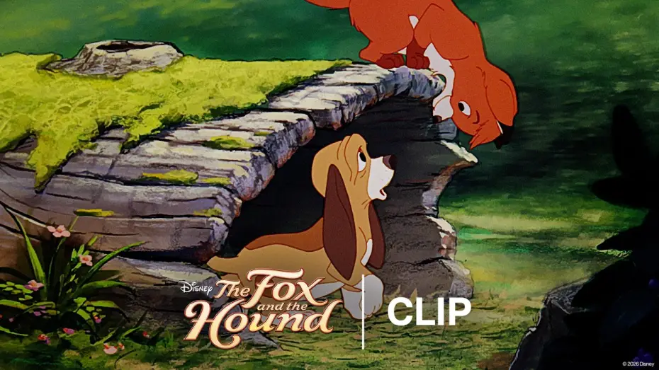 Watch film The Fox and the Hound — Tod & Copper Meet - Official Clip