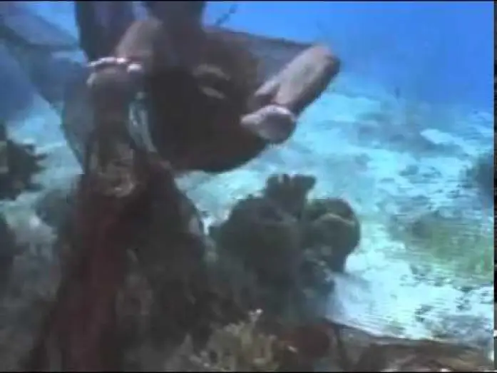 Watch film Reef Hunters | Muro Ami