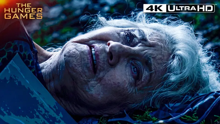 Watch film The Hunger Games: Catching Fire — The Moment Mags Walks Into the Mist to Save Finnick