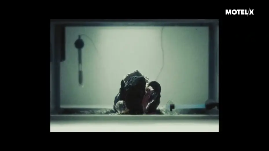 Watch film From.Beyond — From.Beyond (2022) |  Trailer