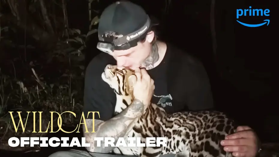 Watch film Wildcat — Official Trailer