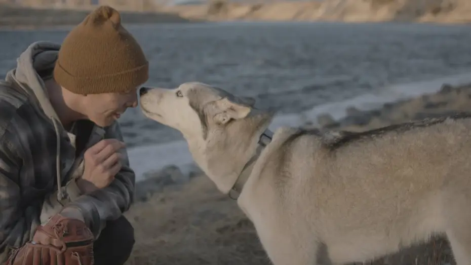 Watch film The Year of the Dog — THE YEAR OF THE DOG | Official Theatrical Trailer