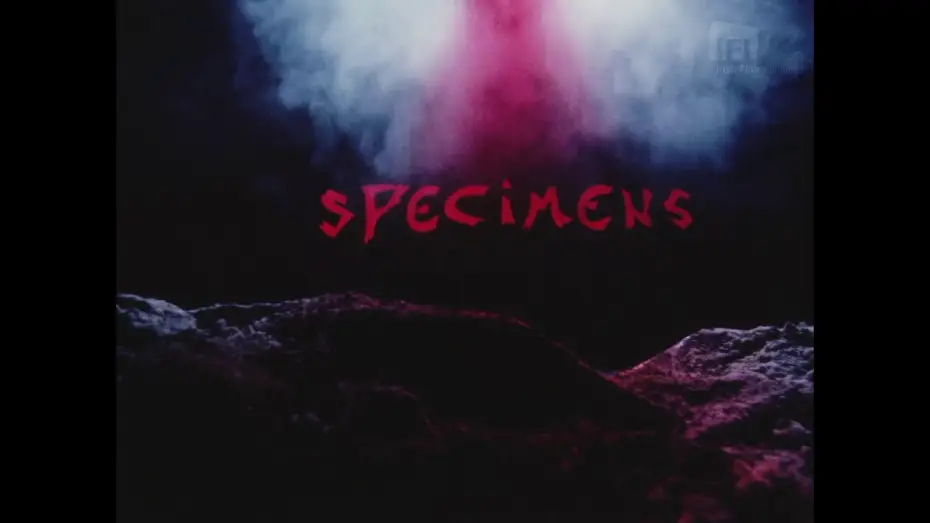 Watch film Specimens | Roy Spence: Specimens