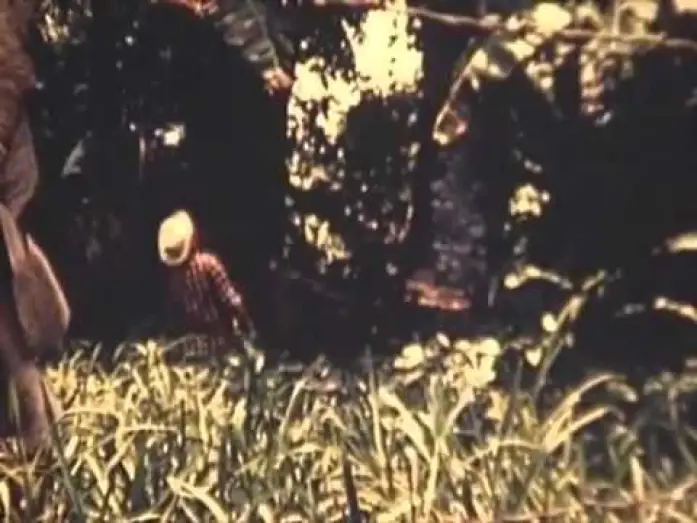 Watch film The Bet — La Apuesta. Miguel Salguero 1968
