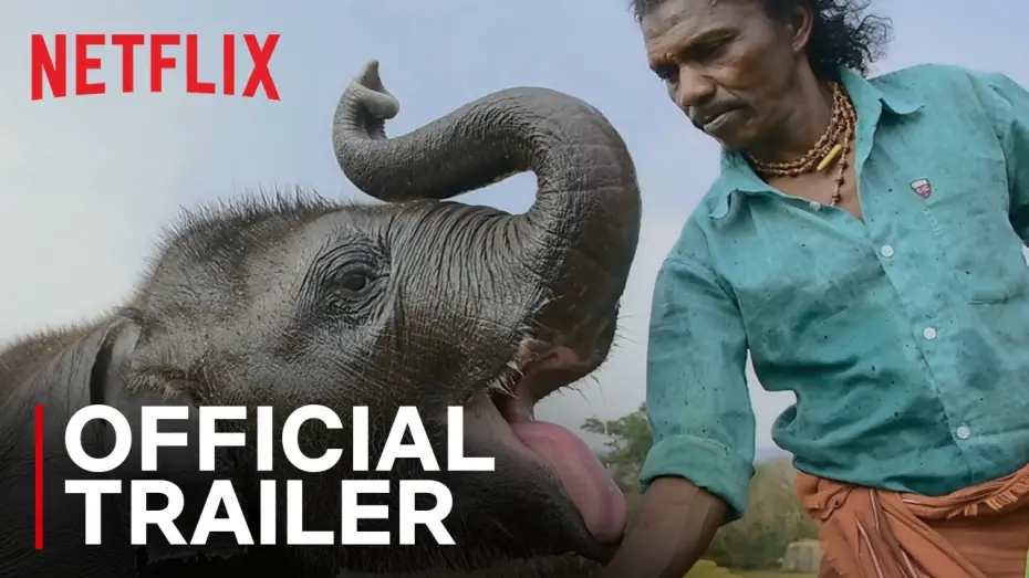 Watch film The Elephant Whisperers — Official Trailer