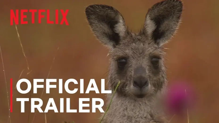 Watch film Kangaroo Valley — Official Trailer