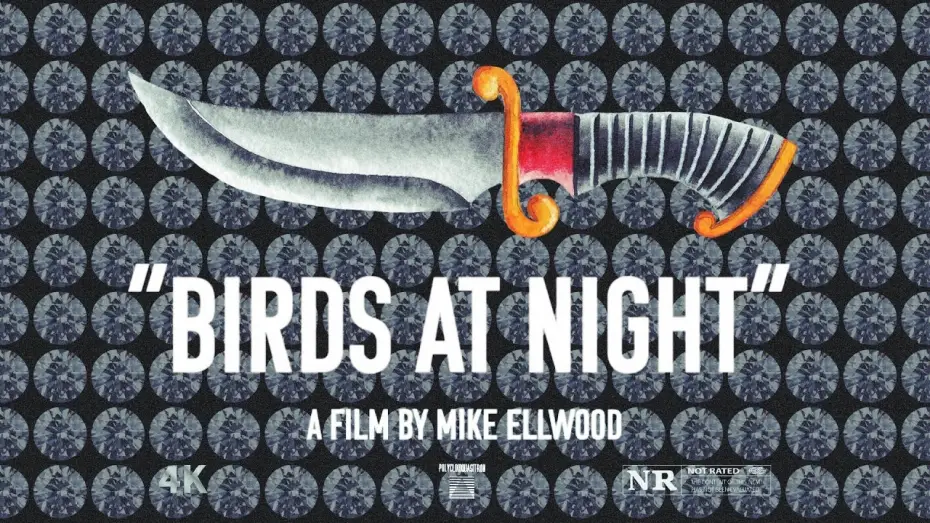 Watch film Birds at Night — TRAILER | Birds at Night | a film by Mike Ellwood