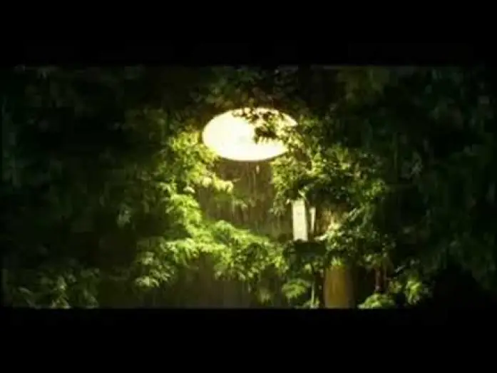 Watch film You Are My Sunshine — You Are My Sunshine trailer