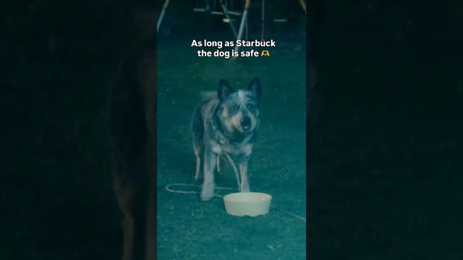 Watch film The End of Oak Street — Always rooting for the dog...