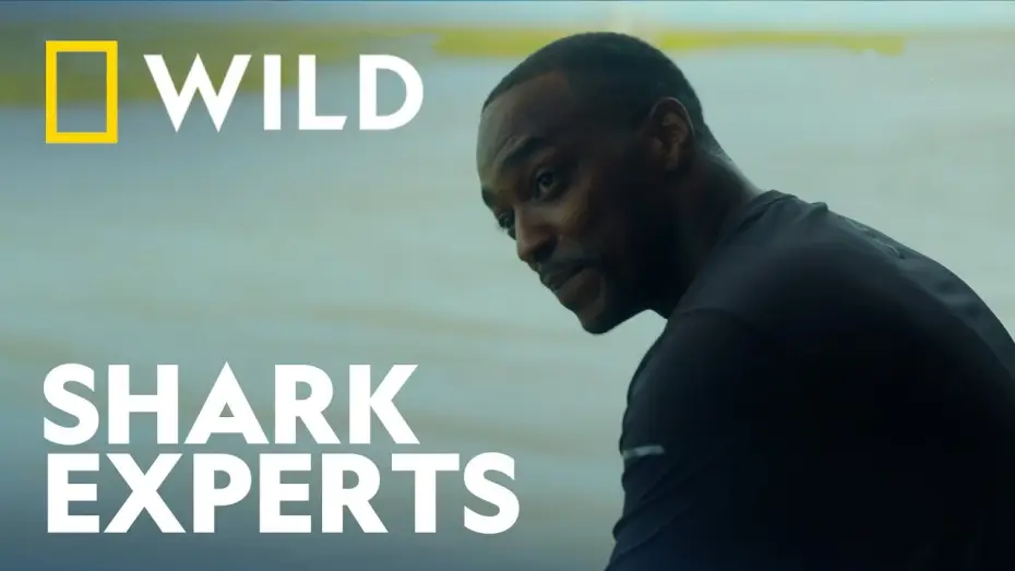 Watch film Shark Beach with Anthony Mackie — Clip