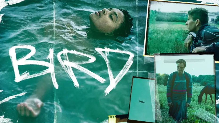 Watch film Bird — BIRD l Deutscher Trailer