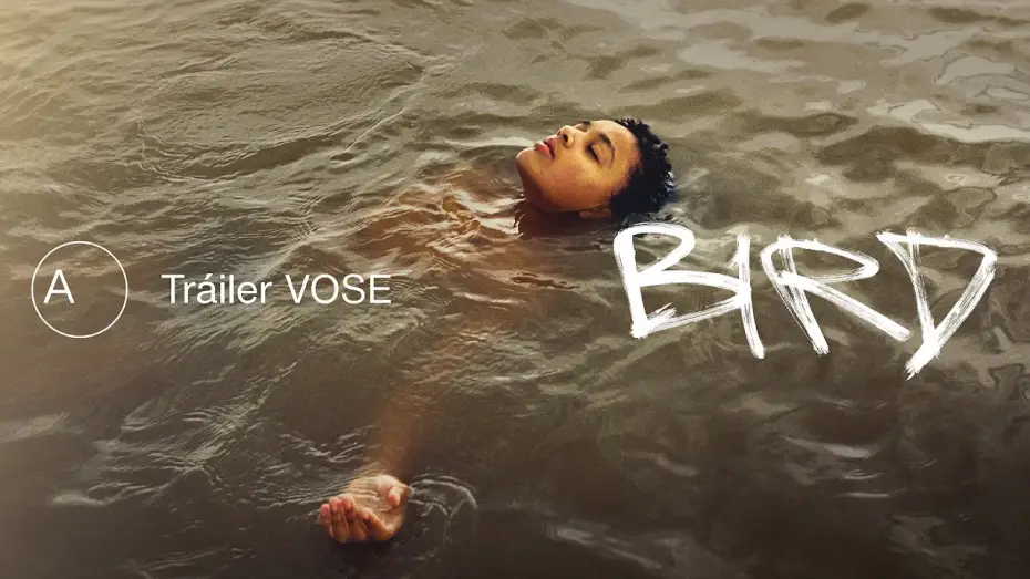 Watch film Bird — Bird | Tráiler español VOSE | Avalon