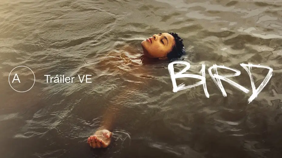 Watch film Bird — Bird | Tráiler español VE | Avalon