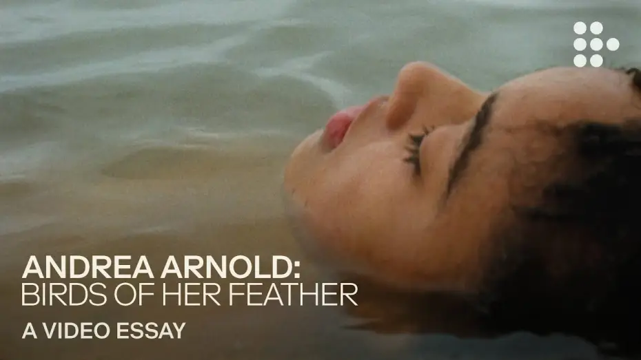 Watch film Bird — Video essay: “Andrea Arnold: Birds of Her Feather”
