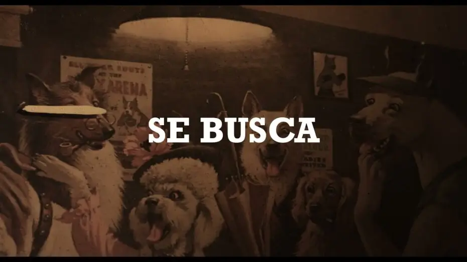 Watch film Wanted | Se Busca / Wanted