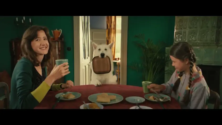 Watch film The Travelling Dog | Lampo, el perro viajero - Tr&aacute;iler