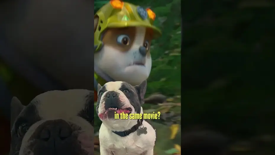 Watch film PAW Patrol: The Dino Movie — Puppy Trailer Reaction