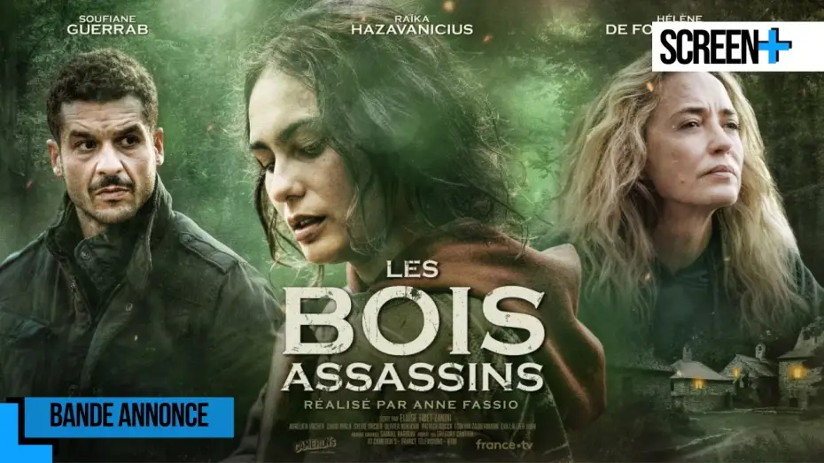 Watch film Les Bois assassins — Les bois assassins sur France 3