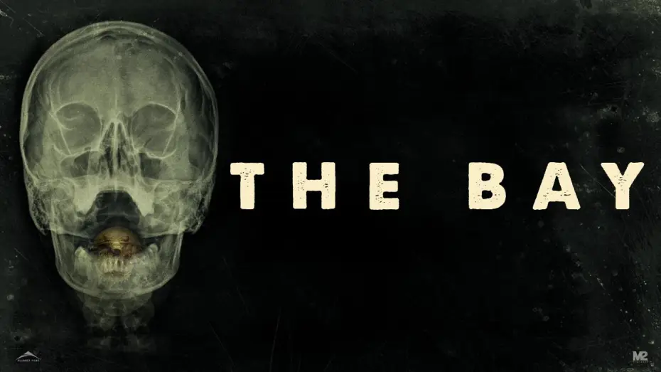 Watch film The Bay — The Bay - Trailer italiano [HD]