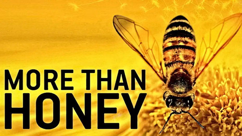Watch film More Than Honey — MORE THAN HONEY Trailer German Deutsch HD 2012