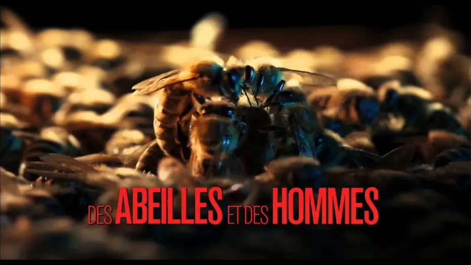 Watch film More Than Honey — Des Abeilles et des Hommes (bande-annonce)