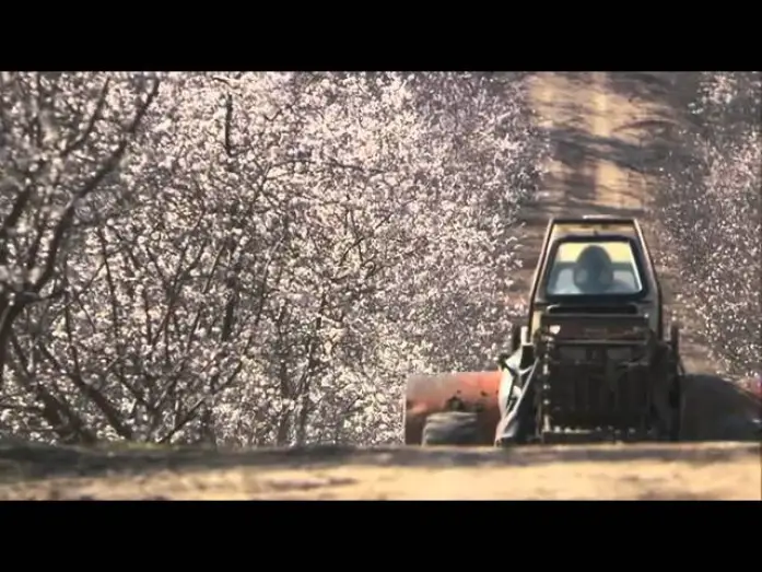 Watch film More Than Honey — More Than Honey - Official Trailer